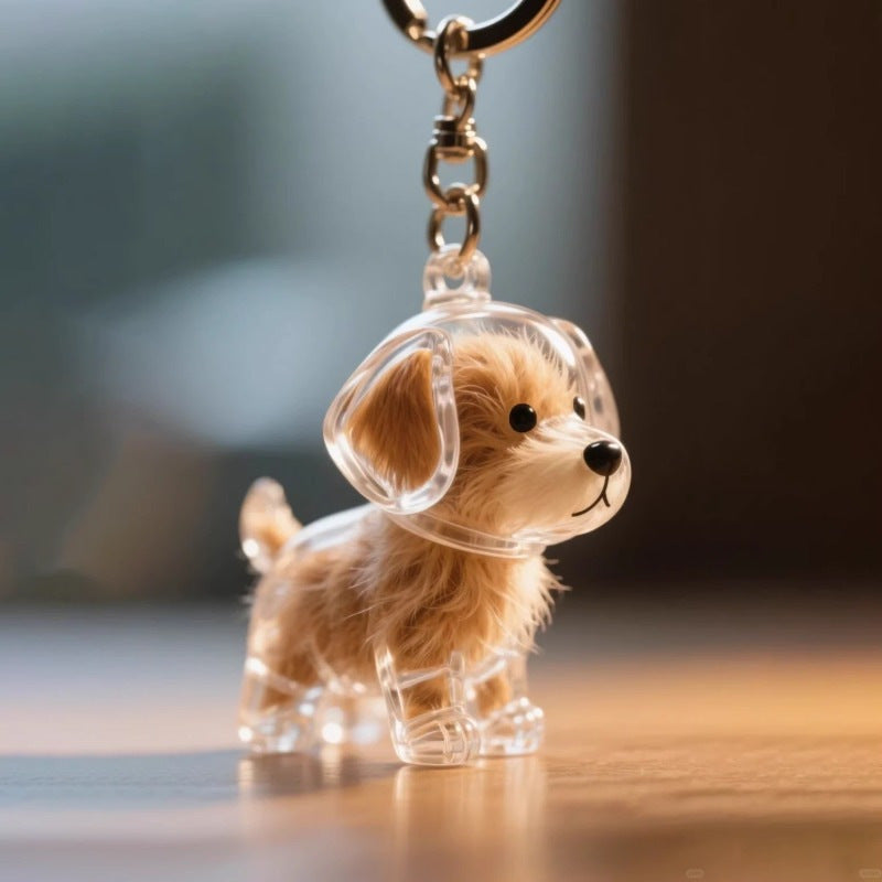 Cat Dog Transparent Hair Storage Box