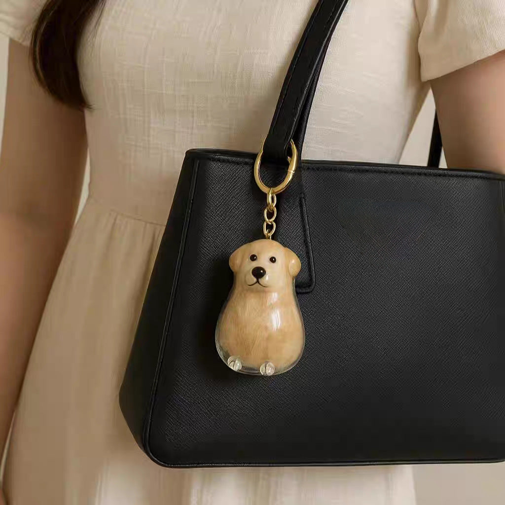 Cat Dog Transparent Hair Storage Box